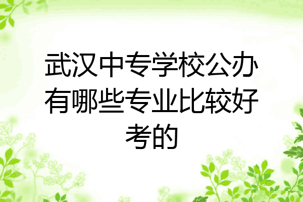 武汉中专学校公办有哪些专业比较好考的