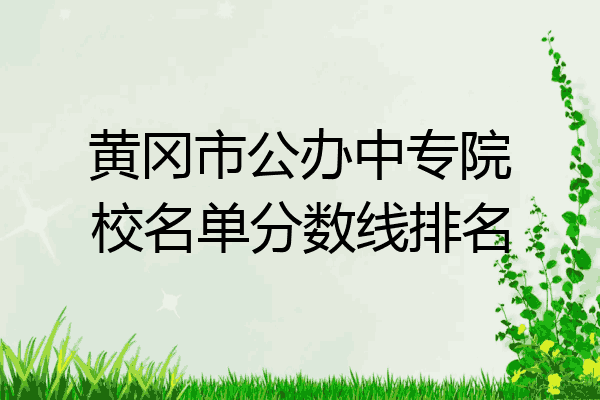 黄冈市公办中专院校名单分数线排名