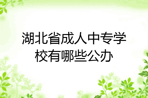 湖北省成人中专学校有哪些公办