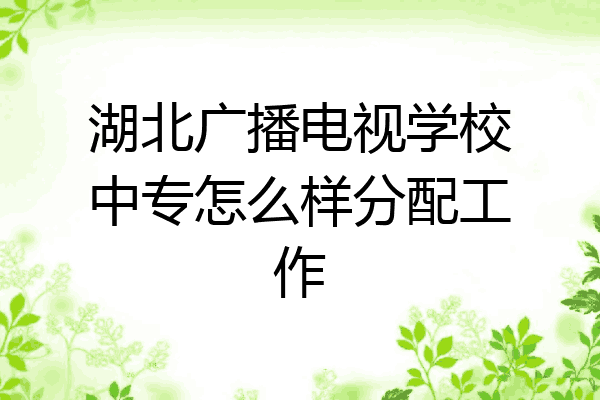 湖北广播电视学校中专怎么样分配工作