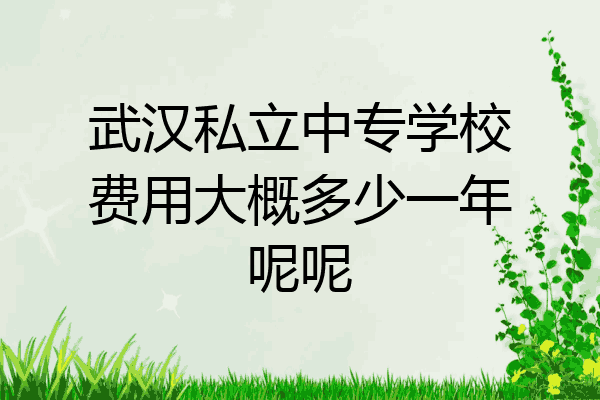 武汉私立中专学校费用大概多少一年呢呢