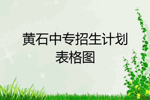黄石中专招生计划表格图