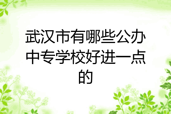 武汉市有哪些公办中专学校好进一点的