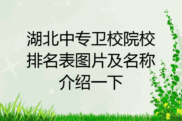 湖北中专卫校院校排名表图片及名称介绍一下