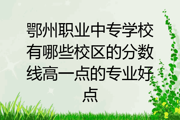 鄂州职业中专学校有哪些校区的分数线高一点的专业好点