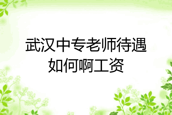 武汉中专老师待遇如何啊工资