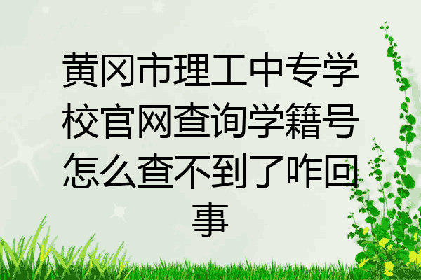 黄冈市理工中专学校官网查询学籍号怎么查不到了咋回事