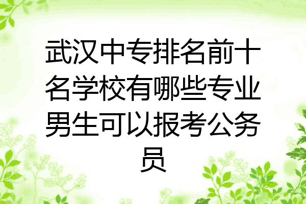 武汉中专排名前十名学校有哪些专业男生可以报考公务员