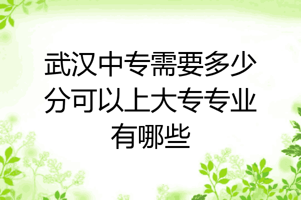 武汉中专需要多少分可以上大专专业有哪些