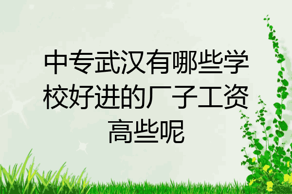 中专武汉有哪些学校好进的厂子工资高些呢