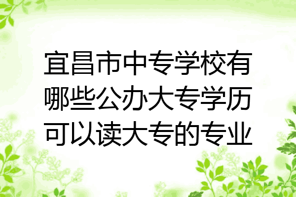 宜昌市中专学校有哪些公办大专学历可以读大专的专业