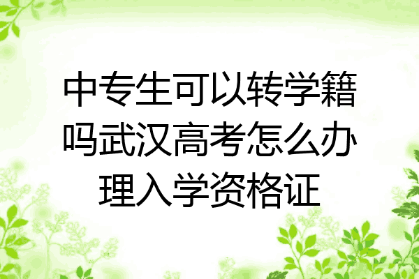 中专生可以转学籍吗武汉高考怎么办理入学资格证