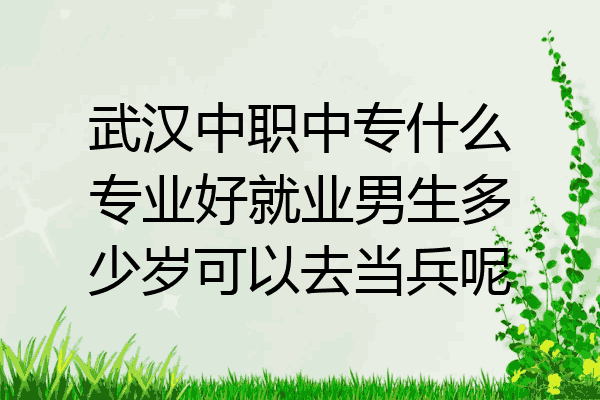 武汉中职中专什么专业好就业男生多少岁可以去当兵呢