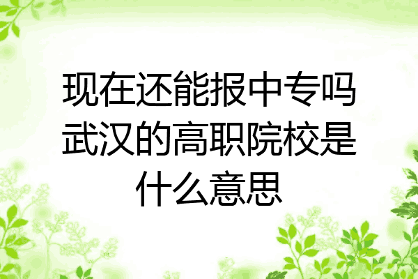 现在还能报中专吗武汉的高职院校是什么意思