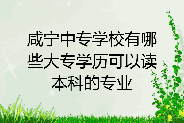 咸宁中专学校有哪些大专学历可以读本科的专业