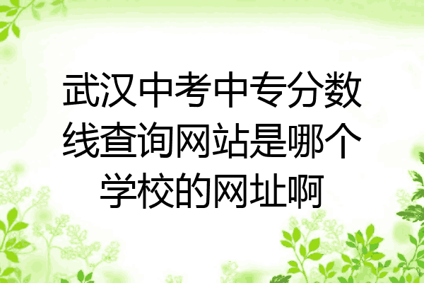 武汉中考中专分数线查询网站是哪个学校的网址啊
