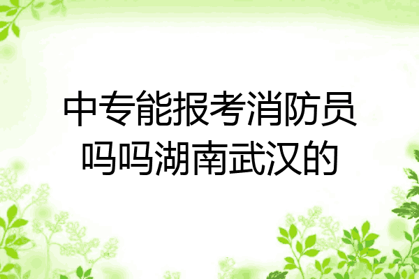 中专能报考消防员吗吗湖南武汉的