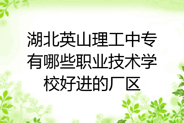 湖北英山理工中专有哪些职业技术学校好进的厂区