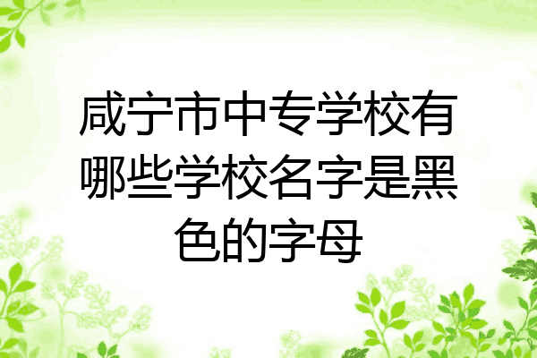 咸宁市中专学校有哪些学校名字是黑色的字母