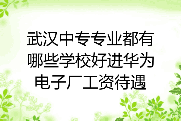武汉中专专业都有哪些学校好进华为电子厂工资待遇