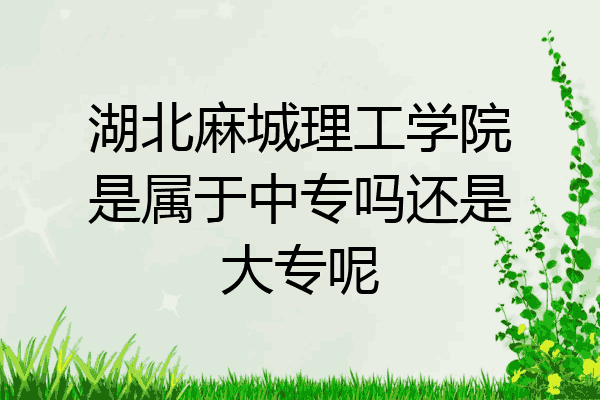 湖北麻城理工学院是属于中专吗还是大专呢