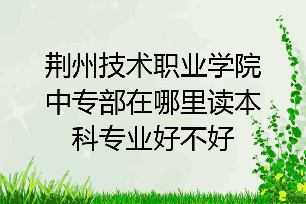 荆州技术职业学院中专部在哪里读本科专业好不好