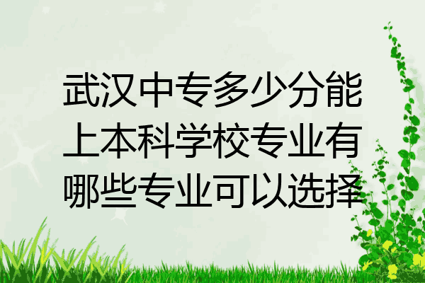 武汉中专多少分能上本科学校专业有哪些专业可以选择