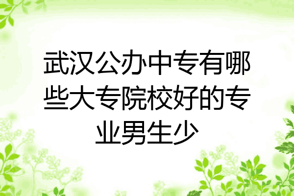武汉公办中专有哪些大专院校好的专业男生少