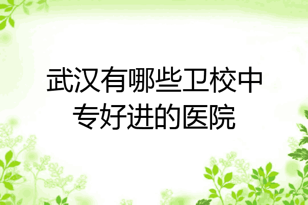 武汉有哪些卫校中专好进的医院