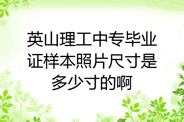 英山理工中专毕业证样本照片尺寸是多少寸的啊