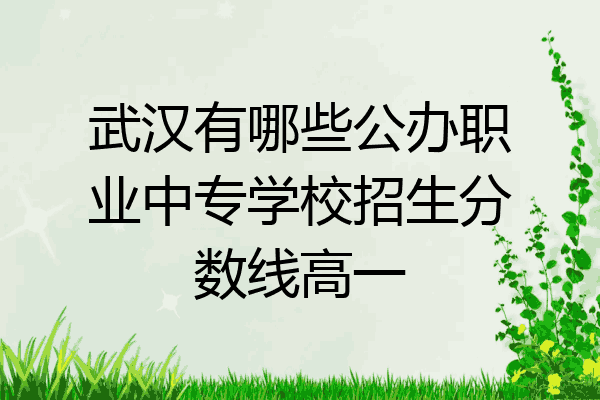 武汉有哪些公办职业中专学校招生分数线高一
