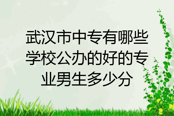 武汉市中专有哪些学校公办的好的专业男生多少分