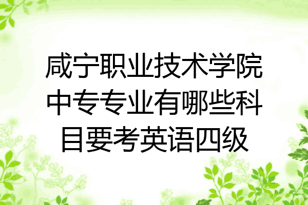咸宁职业技术学院中专专业有哪些科目要考英语四级