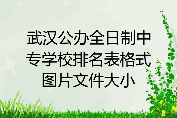 武汉公办全日制中专学校排名表格式图片文件大小