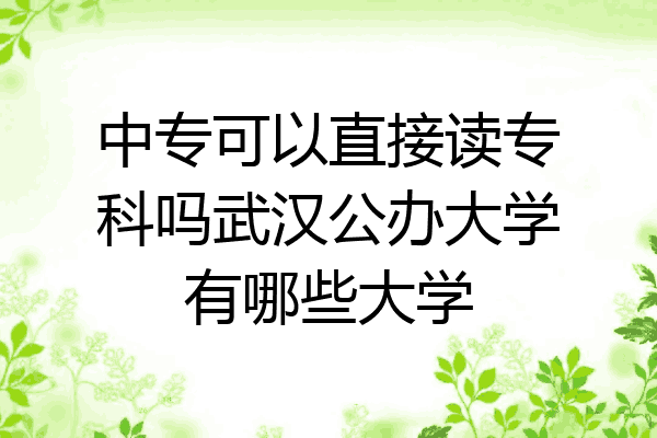 中专可以直接读专科吗武汉公办大学有哪些大学