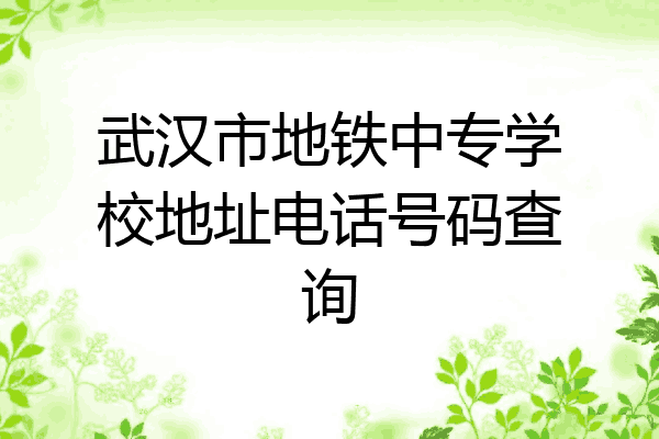 武汉市地铁中专学校地址电话号码查询