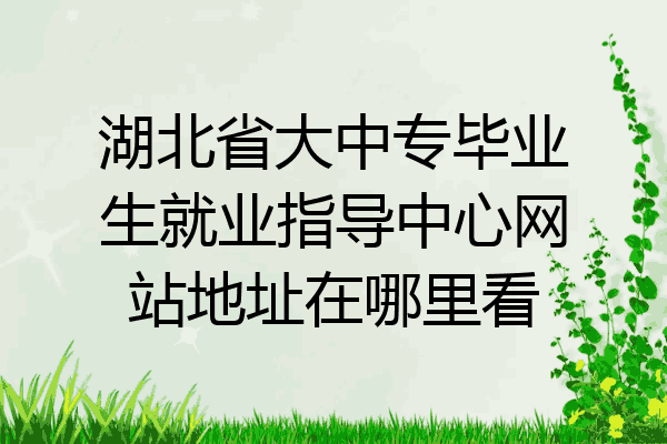 湖北省大中专毕业生就业指导中心网站地址在哪里看