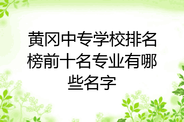 黄冈中专学校排名榜前十名专业有哪些名字
