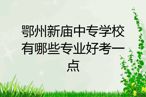 鄂州新庙中专学校有哪些专业好考一点