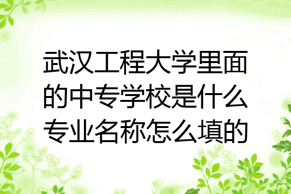 武汉工程大学里面的中专学校是什么专业名称怎么填的