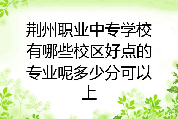 荆州职业中专学校有哪些校区好点的专业呢多少分可以上