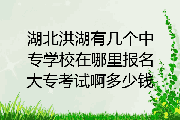 湖北洪湖有几个中专学校在哪里报名大专考试啊多少钱