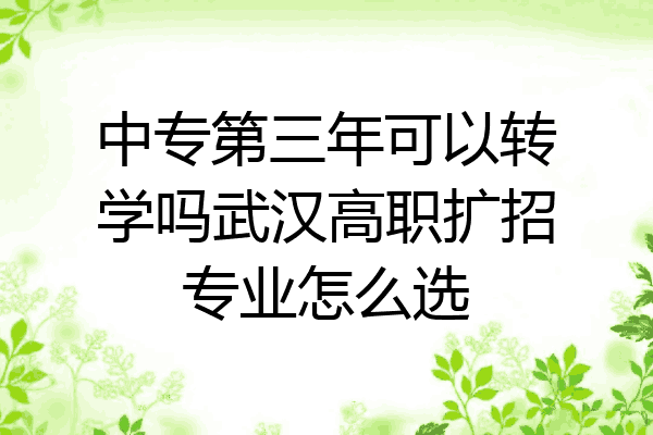 中专第三年可以转学吗武汉高职扩招专业怎么选