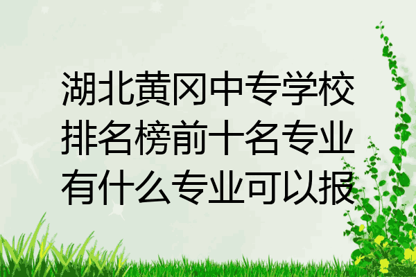 湖北黄冈中专学校排名榜前十名专业有什么专业可以报