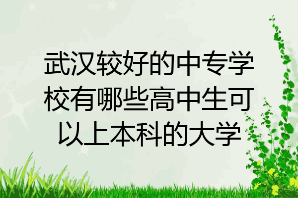 武汉较好的中专学校有哪些高中生可以上本科的大学