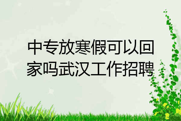 中专放寒假可以回家吗武汉工作招聘