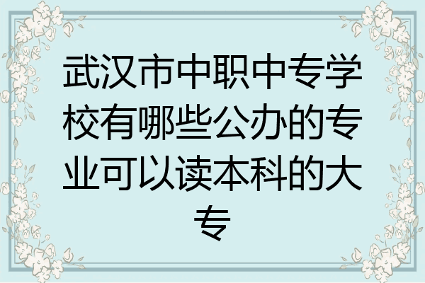 武汉市中职中专学校有哪些公办的专业可以读本科的大专