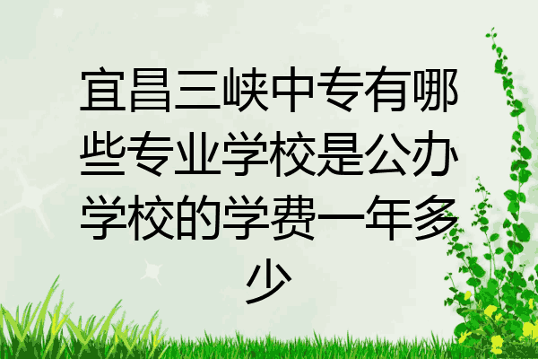 宜昌三峡中专有哪些专业学校是公办学校的学费一年多少