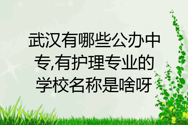 武汉有哪些公办中专,有护理专业的学校名称是啥呀