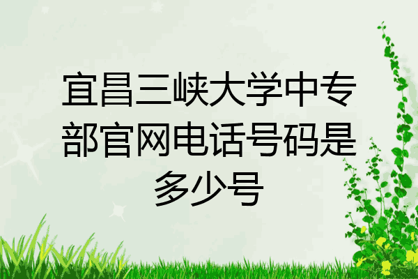 宜昌三峡大学中专部官网电话号码是多少号